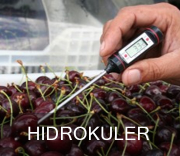 HIDROKULER