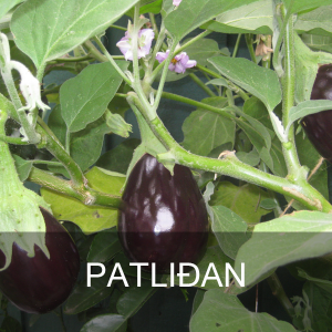 PATLIDAN